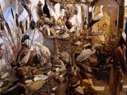 b_1024_768_0_00_images_2022_2023_SKKT_PTTK_rajd_czerwiec_352238004_195864159661512_5812121345832441535_n